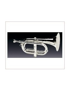 Carmen Honsuy C/Bb Cornet (Silver) with 1 Piston