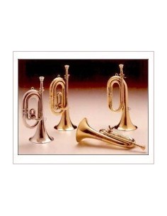 Corneta Honsuy (Corta) Do/Reb (Plateado) Brillante con Mariposa (Unidad)