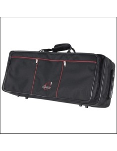Estuche Gaita ref. 400 (Medidas Internas: 59x21x9cm. Externas: 64x26x15,5cm.) peso: 2,5kg. Negro
