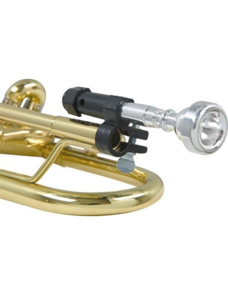 Berp horn (horn) (cor)