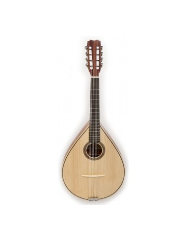 APC Mandola (450) Solid Spruce Top (Mahogany Sides & Backs)