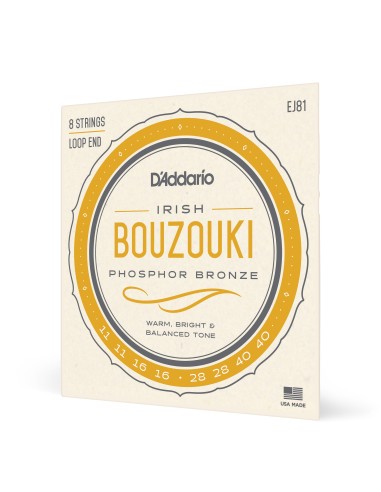 D'Addario Irish Bouzouki Strings EJ81 Strings (Gioco)