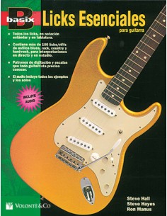 BASIX-Essential Guitar Licks (Inc.CD)