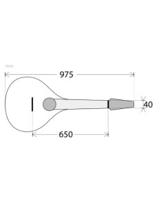 Bouzouki Portugués APC PTB-308 2