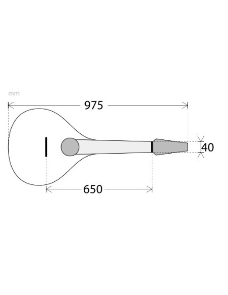 Bouzouki Portugués APC PTB-308
