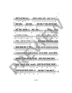 RIEDHAMMER A.-The Challenge para Caja 2