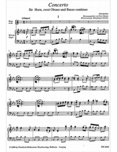 ANONIMO-Concerto per corno e pianoforte (Damm) 2